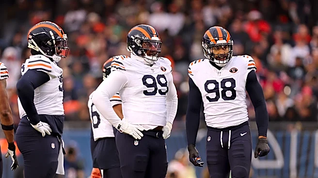 Building Glass Houses: Chicago’s Fragile Defensive Line