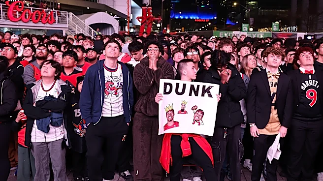 Ranking types of Raptors fans