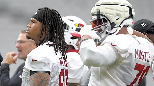 What position group worries you the most on the Arizona Cardinals?