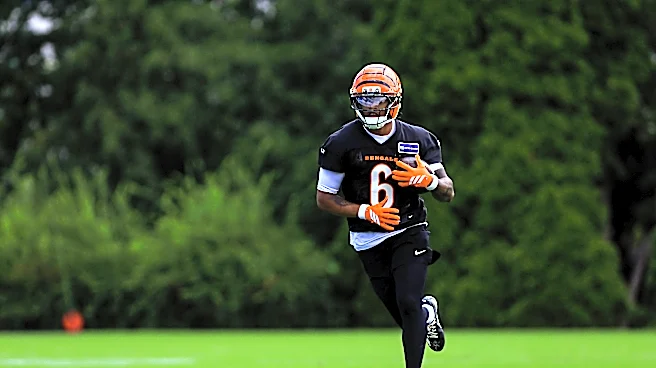 Positive injury update on Bryan Cook and Dax Hill