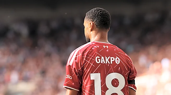 REPORT: Man City showing interest in Spurs target Cody Gakpo