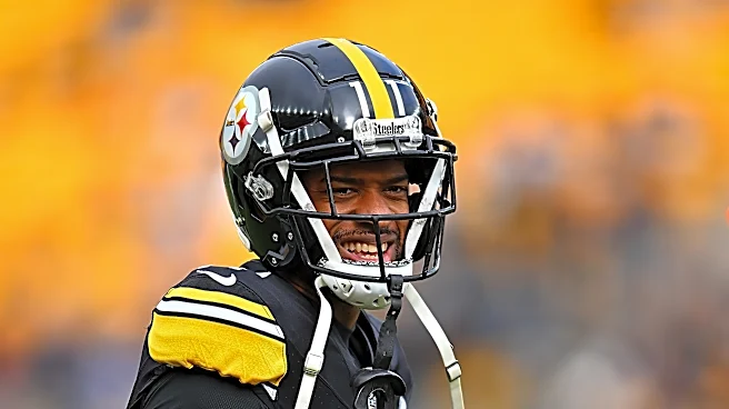 Former Steelers WR announces retirement from NFL