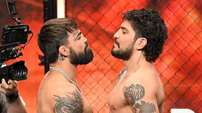 Matt Brown understands why Mike Perry took Dillon Danis fight over returning to BKFC to face Darren Till