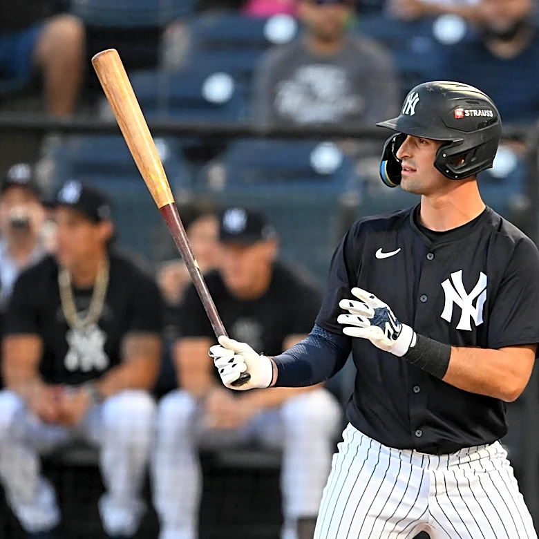 Yankees prospects: Week 22 minor league recap