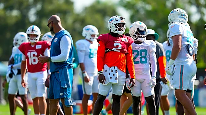 Miami Dolphins Discussion: Who Must Shine Edition