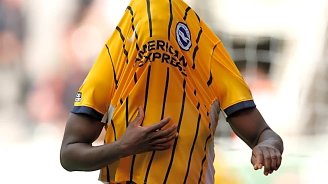 Liverpool and Brighton Reportedly Hit £80M Yankuba Minteh Impasse