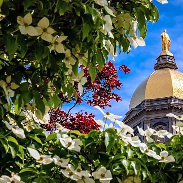 Leave No Doubt: A Very Unscientific Look at Notre Dame’s 2026 Schedule