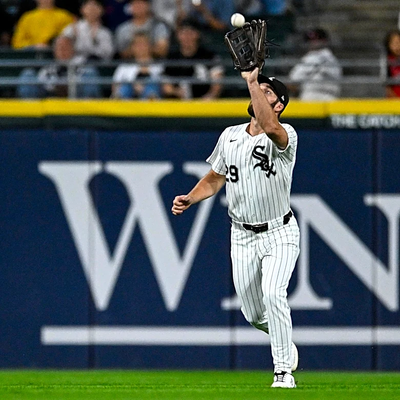 Is the White Sox D … a D?