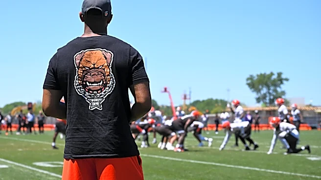 NFL waiver wire, order: Browns players subject to the process