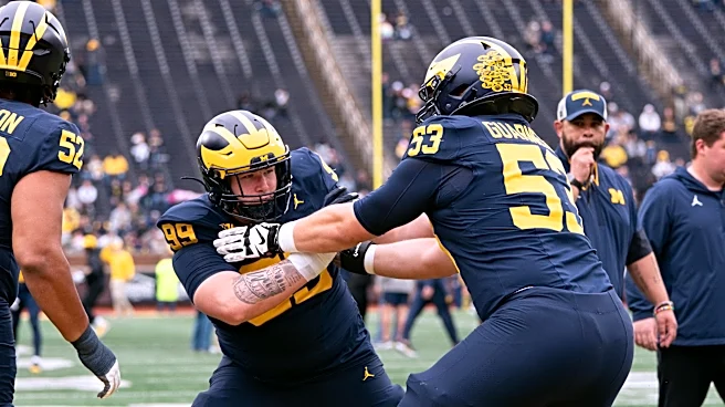 3 Michigan Football depth pieces on defense that could make a big impact in 2026
