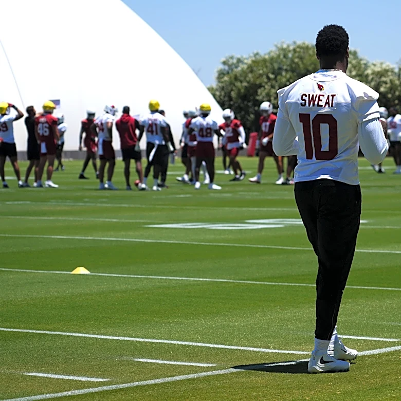Arizona Cardinals fans are most concerned about the edge rusher position