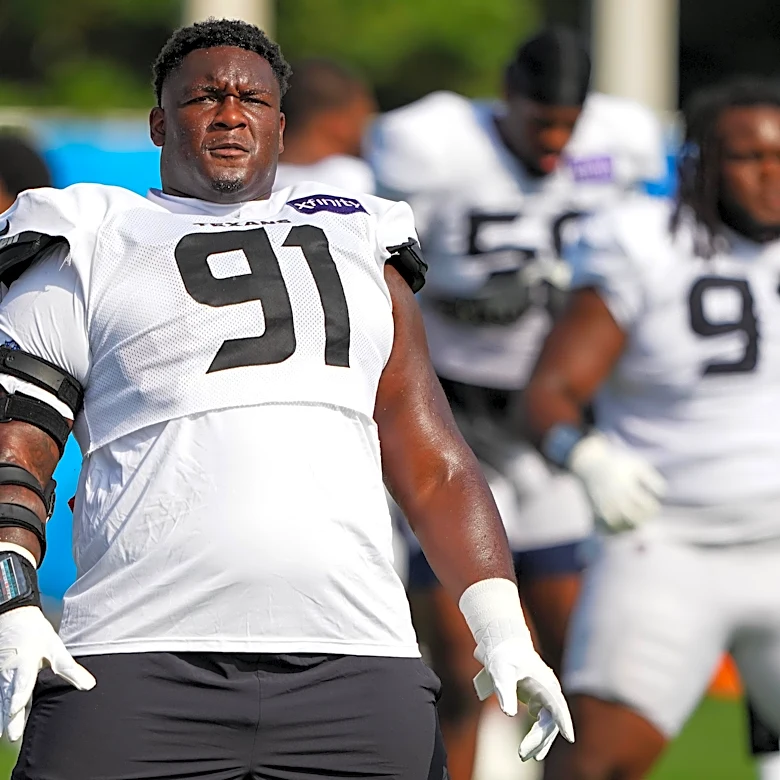 NFL Preseason Week 3: Houston Texans at Carolina Panthers