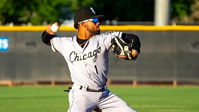 White Sox Minor League Update: August 28, 2026