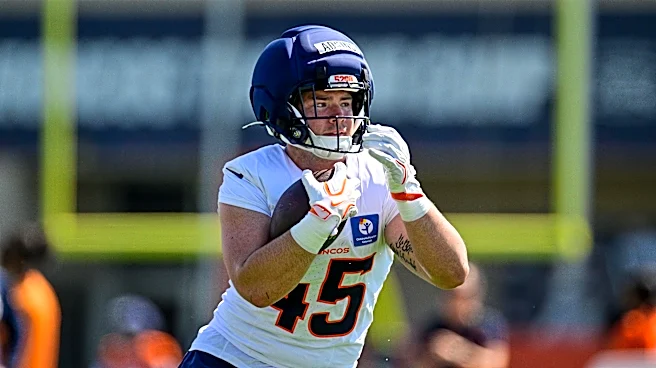 Denver Broncos cut tight end Lucas Krull