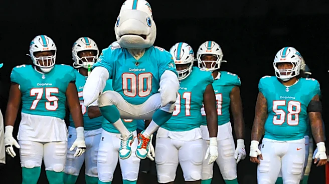 Miami Dolphins Players Who Are Future Household Names