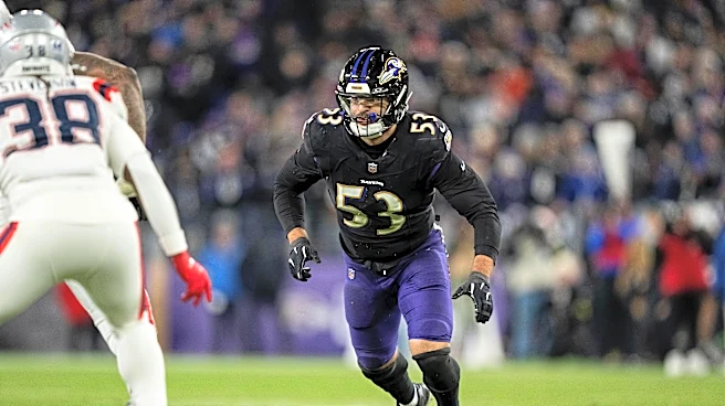Report: Vikings to Host Kyle Van Noy on Free Agent Visit