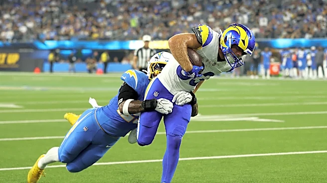 Packers Film Review: TE Mark Redman