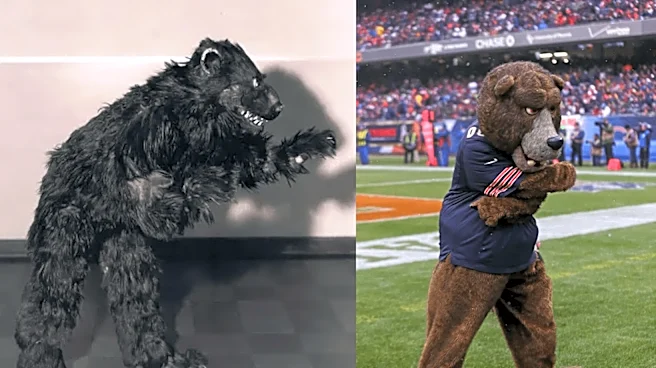 Chicago Bears Mascot History: From Mr. Bear to Staley Da Bear