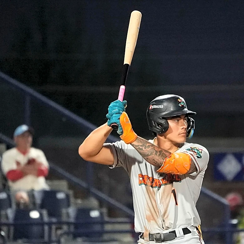 Orioles minor league recap 9/3: Aloy homers twice, Bautista continues rehab