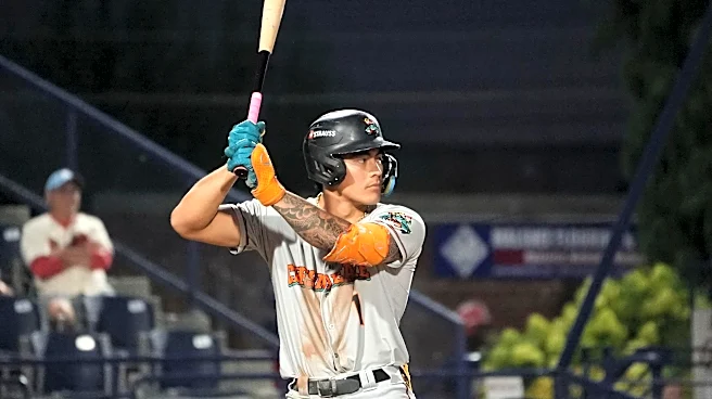 Orioles minor league recap 9/3: Aloy homers twice, Bautista continues rehab