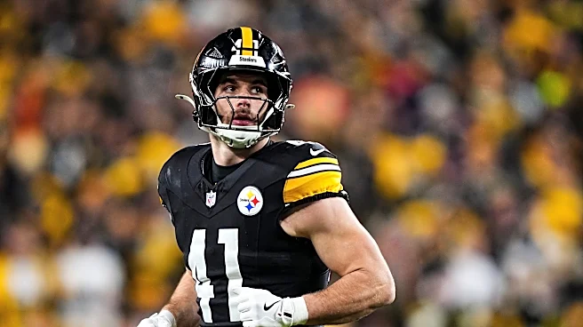 Payton Wilson takes jab at previous Steelers coaching staff