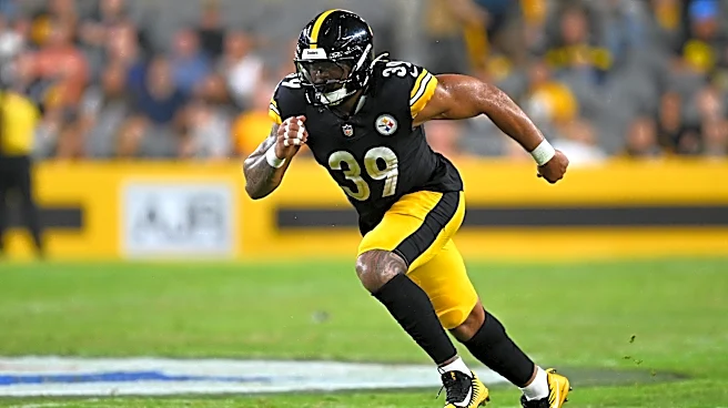 Recently released Steelers LB signs with Giants
