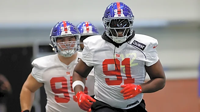 Survey results: Giants’ defensive line dominates… Fans’ list of concerns