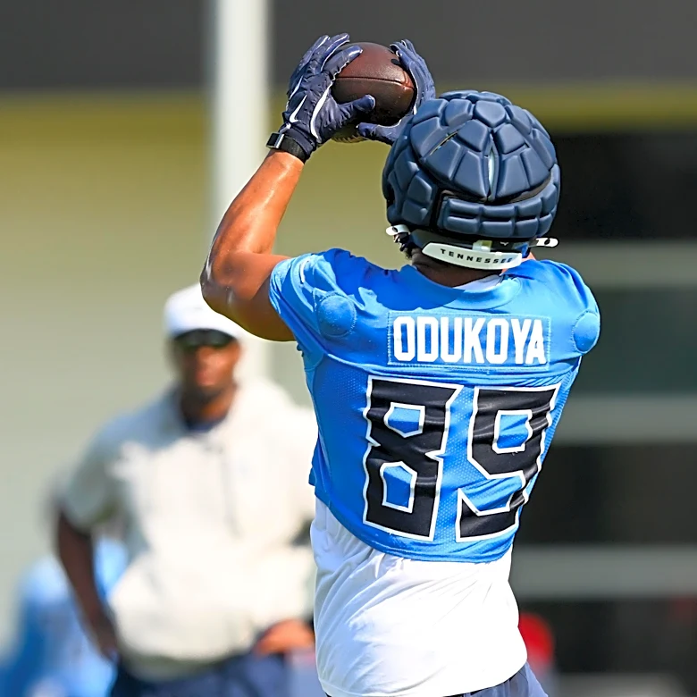 Chiefs sign international tight end, release 3 from IR
