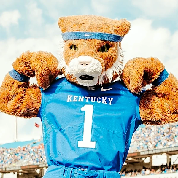 Kentucky Wildcats News: Youngstown State Gameday