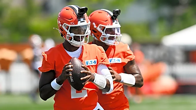 Based on 2025, Browns will need at least this many passing yards to make the playoffs