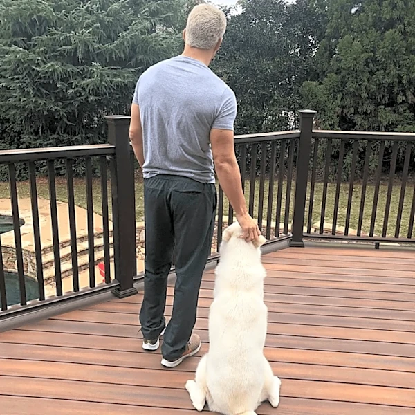 Cody Rhodes shares that his loyal friend Pharoah has died