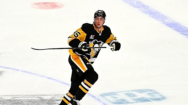 Penguins to watch for at the prospects tournament
