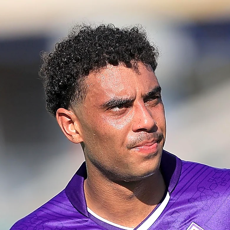 Venezia vs Fiorentina: Preview