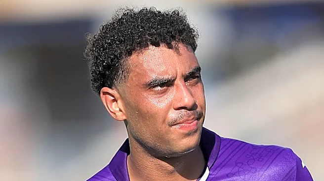 Venezia vs Fiorentina: Preview