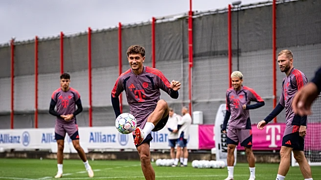 Pundit says Bayern Munich’s season will be defined by Champions League…do you agree?