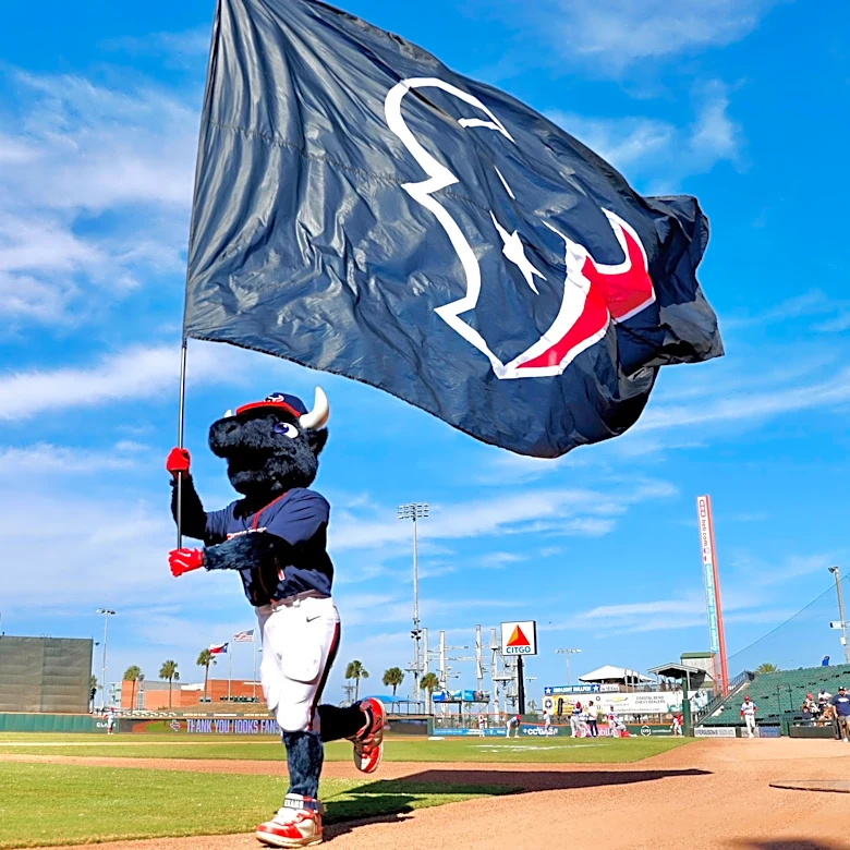 10 NFL Insiders pick Texans to make Super Bowl