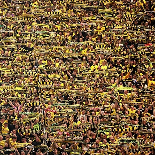 Comment Thread: Matchday Three vs SC Paderborn