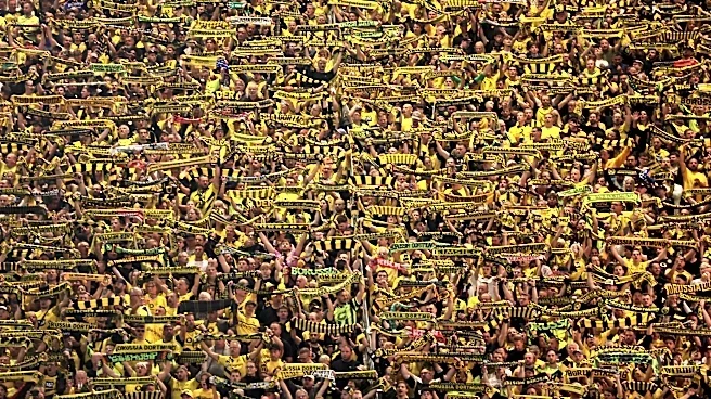 Comment Thread: Matchday Three vs SC Paderborn