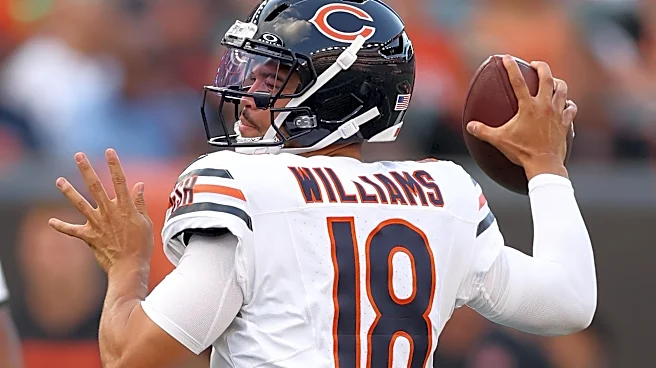 Daily Norseman Roundtable: Know Your Enemy — The Chicago Bears