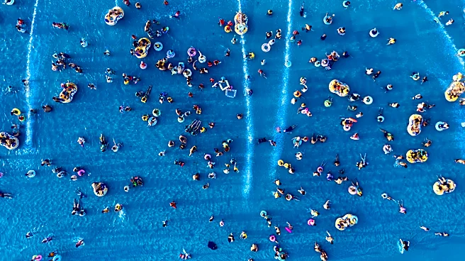 Vote: Coffee Shops or Swimming Pools, Which is Better?
