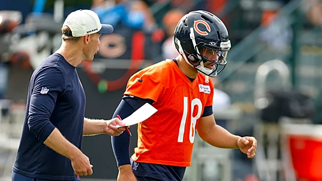 Bears fans are confident the team is headed in the right direction