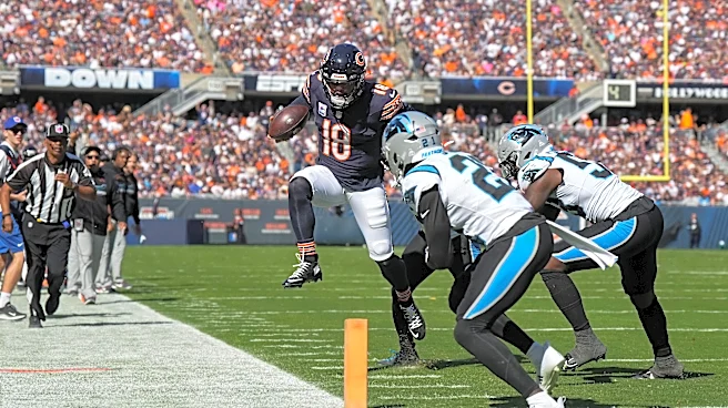 Chicago Bears vs. Carolina Panthers Game Picks and Predictions