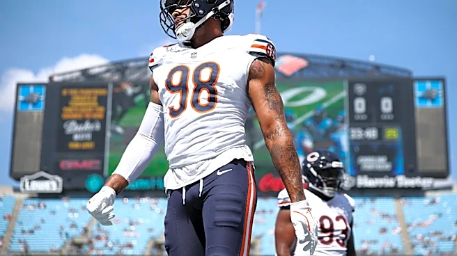 Bears vs. Panthers live game message board and fan discussion