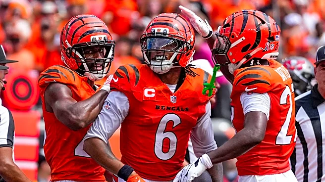 Bengals defense went nuts with 3 straight fumble recoveries vs. Bucs that effectively won the game