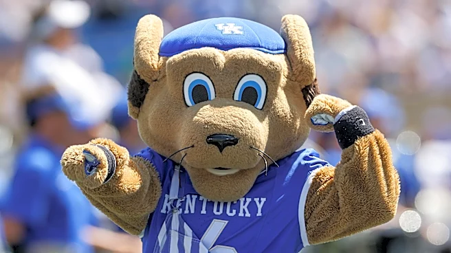 First Glance: Kentucky Wildcats