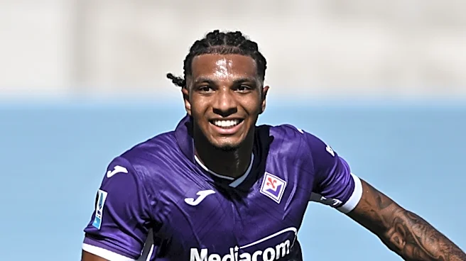 Fiorentina vs Pisa: Preview
