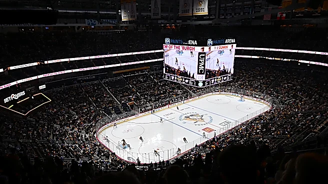 New Penguins owners make first big executive hire
