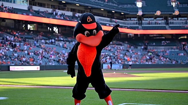 This week in the Orioles minors: Baysox, Keys seasons come to an end