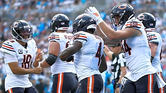 Stock up, stock down: Bears-Panthers