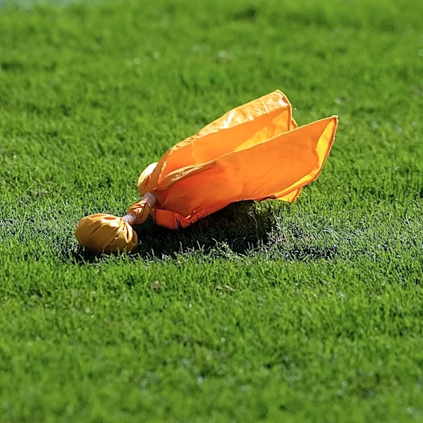 Bears-Panthers Upon Further Review: A Closer Look at the Referees